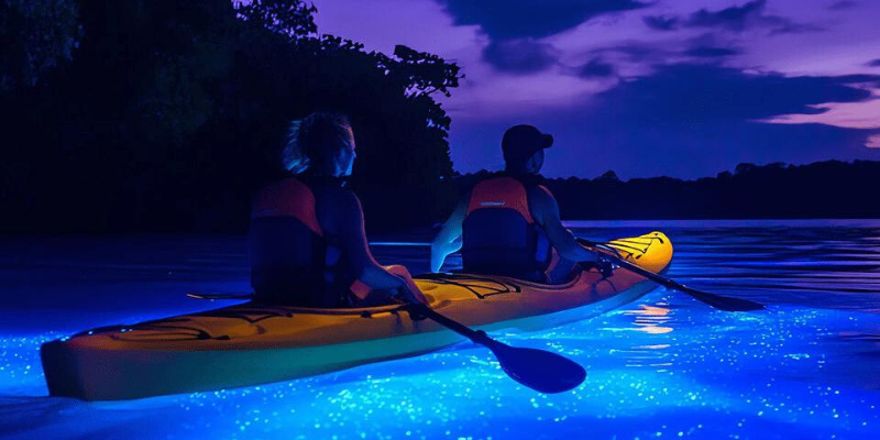 Night kayak